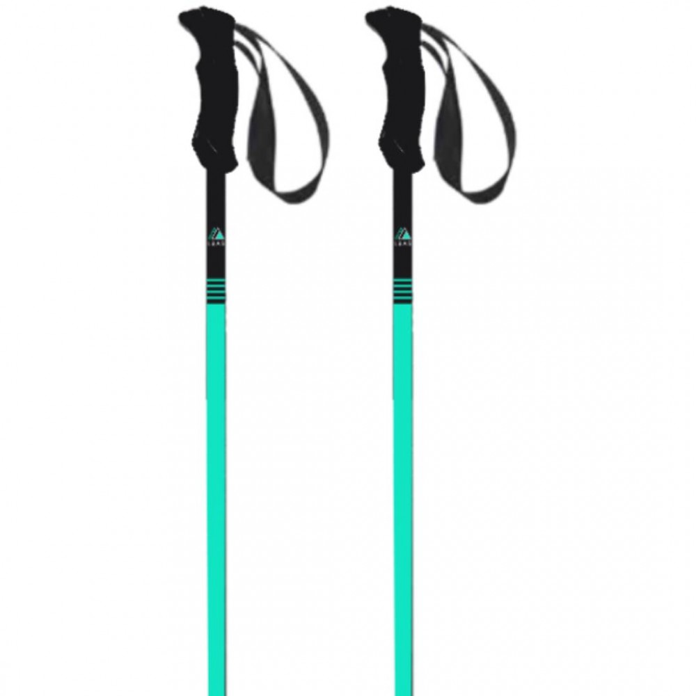 LA BOURSE AUX SKIS STICK BLUE Labourseauxskis - 1