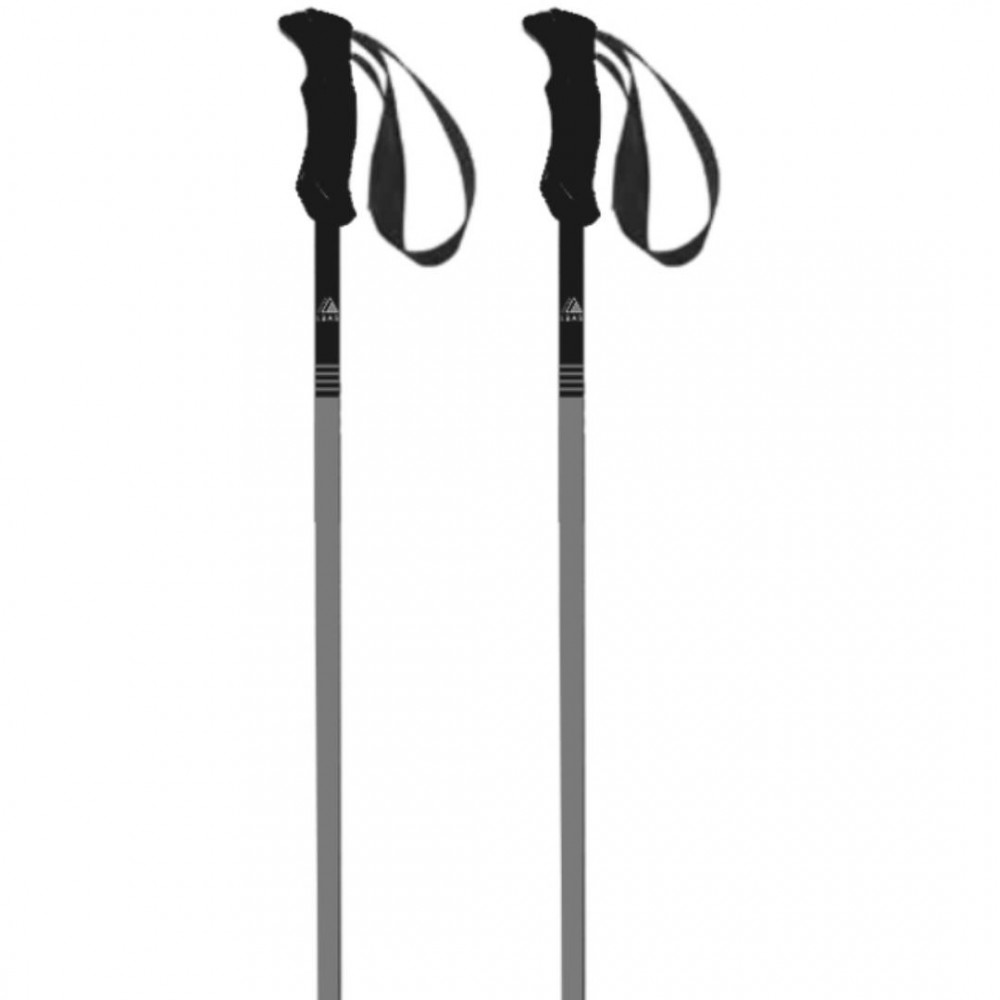 LA BOURSE AUX SKIS STICK GREY Labourseauxskis - 2