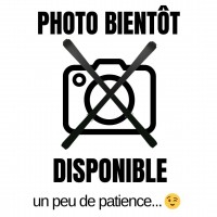 BLACK CROWS W SORBUS BI STRETCH PANT OFF WHITE 